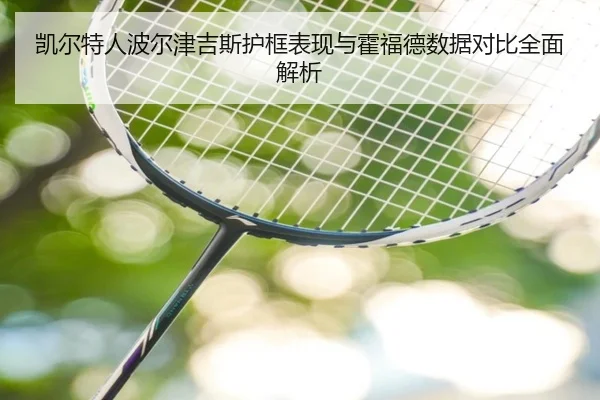 凯尔特人波尔津吉斯护框表现与霍福德数据对比全面解析